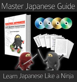 The Master Japanese Guide by John Fotheringham